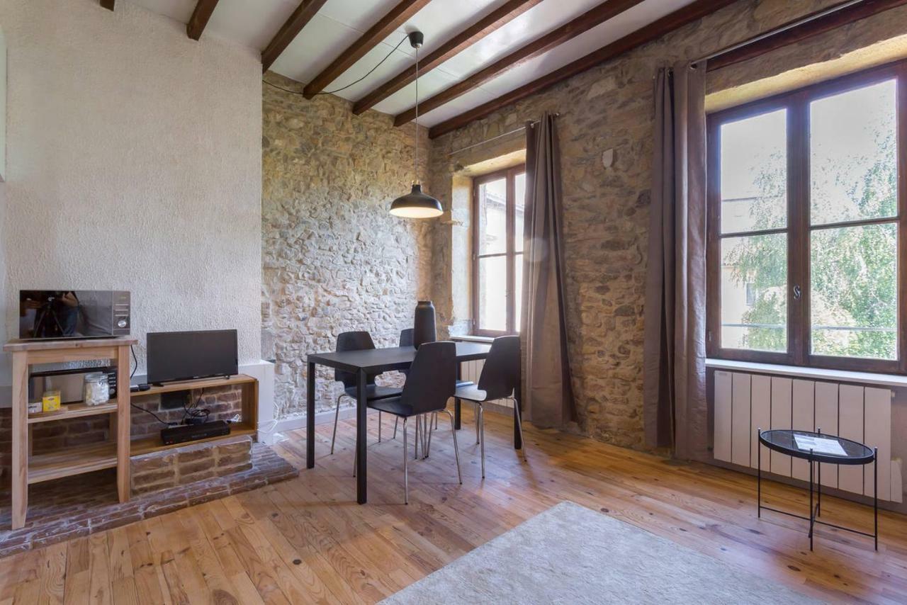 Sur Les Hauteurs Du Vieux Appartement Lyon
